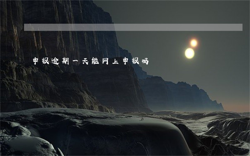 申报逾期一天能网上申报吗