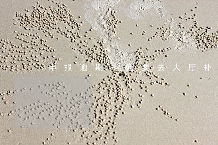 申报逾期一定要去大厅补吗 申报逾期一定要去大厅补吗
