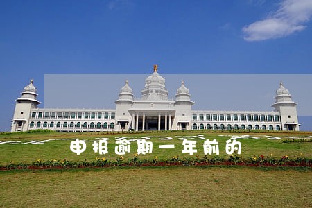申报逾期一年前的 申报逾期一年前的