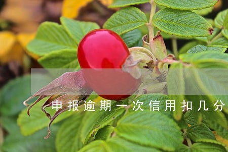 申报逾期一次信用扣几分 申报逾期一次信用扣几分