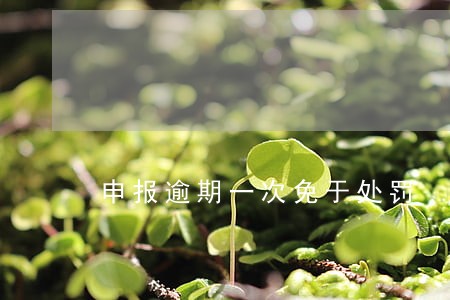 申报逾期一次免于处罚 申报逾期一次免于处罚