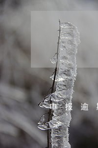 申报逾期三天 申报逾期三天