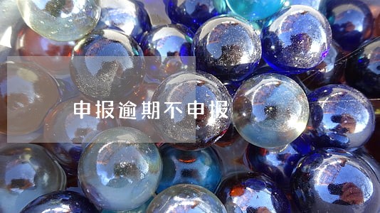 申报逾期不申报