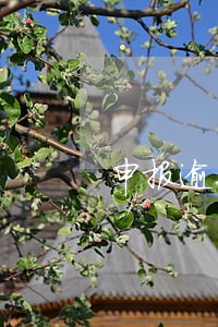 申报逾期两天 申报逾期两天