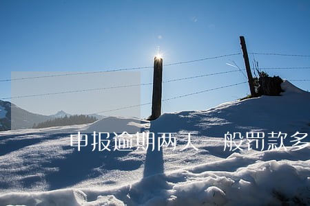 申报逾期两天一般罚款多少 申报逾期两天一般罚款多少