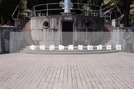 申报逾期两年如何处罚 申报逾期两年如何处罚