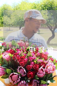 申报逾期了一般怎么处罚 申报逾期了一般怎么处罚