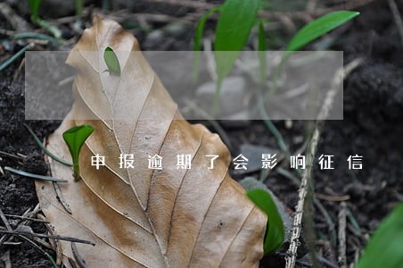 申报逾期了会影响征信 申报逾期了会影响征信
