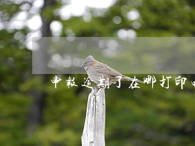 申报逾期了在哪打印电子档 申报逾期了在哪打印电子档