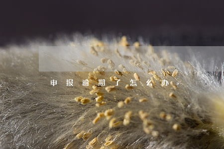 申报逾期了怎么办 申报逾期了怎么办