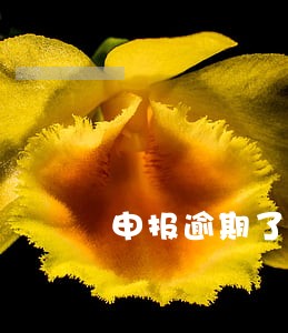 申报逾期了怎么补报 申报逾期了怎么补报