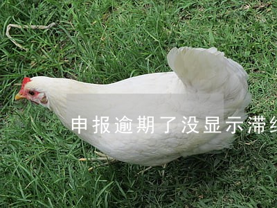 申报逾期了没显示滞纳金 申报逾期了没显示滞纳金