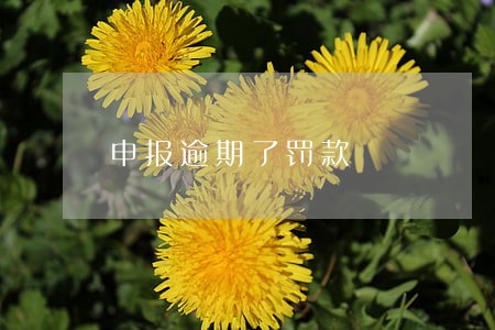 申报逾期了罚款 申报逾期了罚款