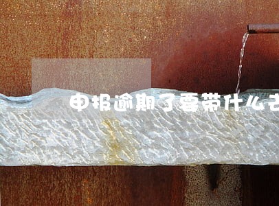 申报逾期了要带什么去税务局 申报逾期了要带什么去税务局