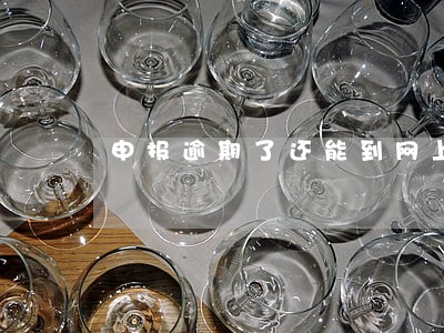 申报逾期了还能到网上申报吗