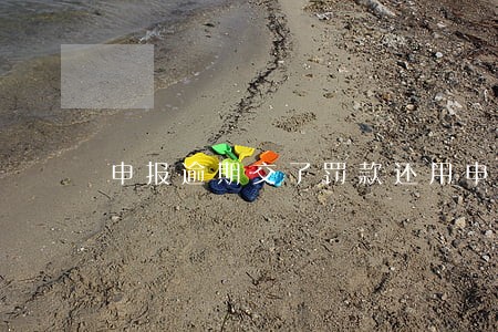 申报逾期交了罚款还用申报吗 申报逾期交了罚款还用申报吗