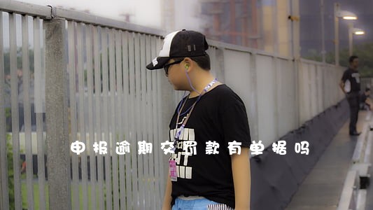 申报逾期交罚款有单据吗 申报逾期交罚款有单据吗