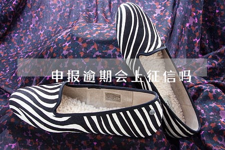申报逾期会上征信吗 申报逾期会上征信吗