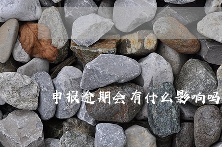 申报逾期会有什么影响吗 申报逾期会有什么影响吗
