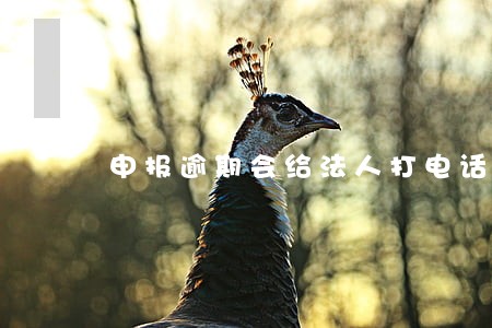 申报逾期会给法人打电话吗 申报逾期会给法人打电话吗