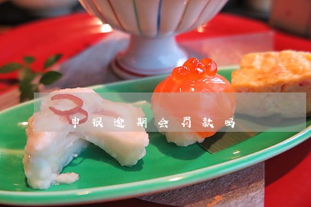 申报逾期会罚款吗 申报逾期会罚款吗