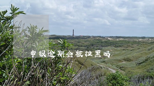 申报逾期会被拉黑吗 申报逾期会被拉黑吗