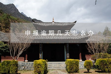 申报逾期几天怎么办 申报逾期几天怎么办