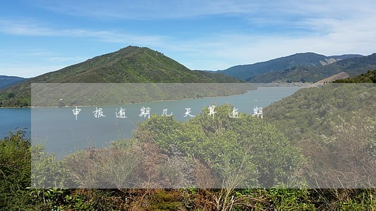 申报逾期几天算逾期 申报逾期几天算逾期