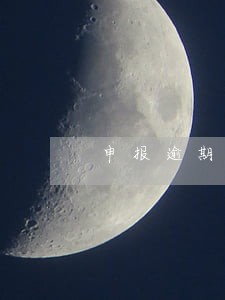 申报逾期则么补报 申报逾期则么补报