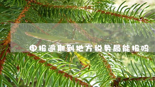 申报逾期到地方税务局能报吗 申报逾期到地方税务局能报吗
