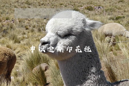 申报逾期印花税 申报逾期印花税