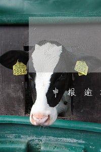 申报逾期去税管所怎么处理 申报逾期去税管所怎么处理