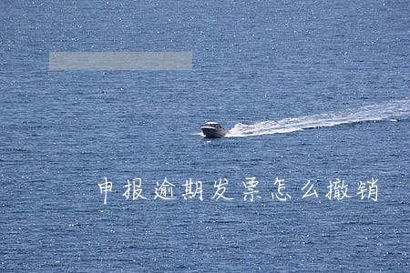 申报逾期发票怎么撤销 申报逾期发票怎么撤销