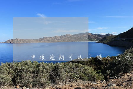 申报逾期可以注销公司吗 申报逾期可以注销公司吗