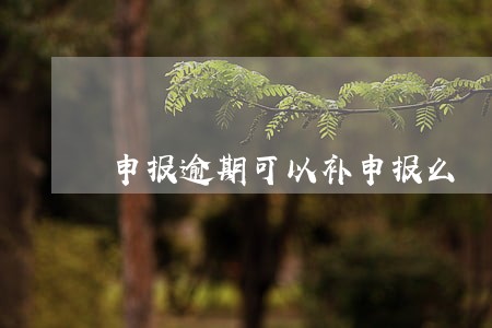 申报逾期可以补申报么 申报逾期可以补申报么