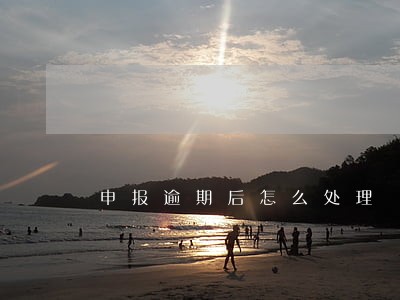 申报逾期后怎么处理 申报逾期后怎么处理