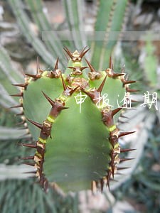 申报逾期在哪交罚款 申报逾期在哪交罚款
