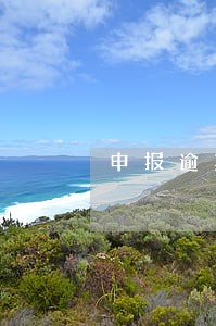 申报逾期处理后有没有记录