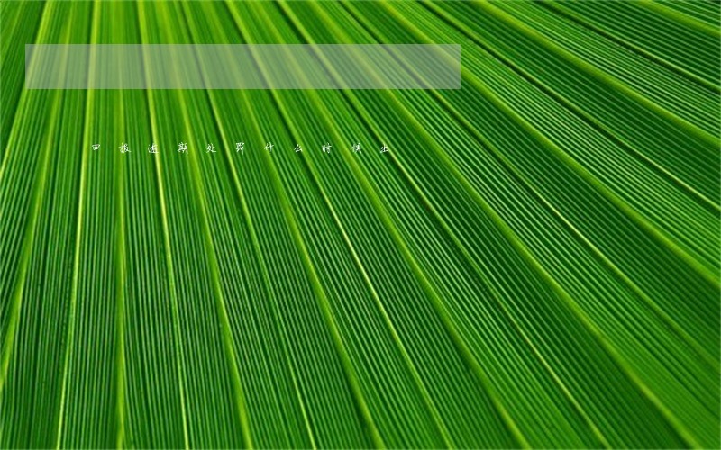 申报逾期处罚什么时候出 申报逾期处罚什么时候出