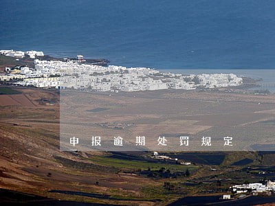 申报逾期处罚规定 申报逾期处罚规定