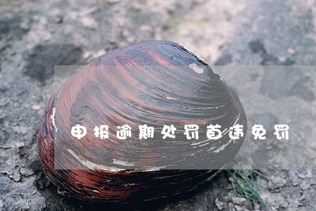 申报逾期处罚首违免罚