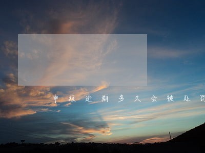 申报逾期多久会被处罚