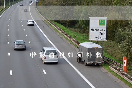 申报逾期如何补救 申报逾期如何补救
