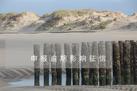 申报逾期影响征信 申报逾期影响征信