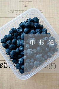 申报逾期怎么处理 申报逾期怎么处理
