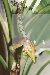 申报逾期怎么没有通知 申报逾期怎么没有通知