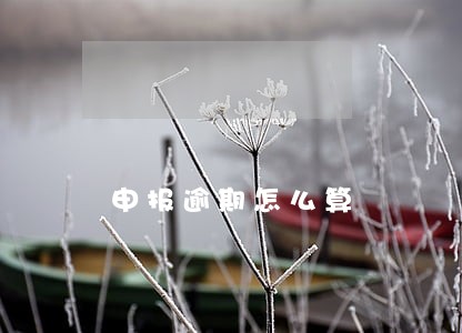 申报逾期怎么算 申报逾期怎么算