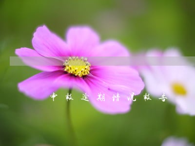 申报逾期情况报告 申报逾期情况报告