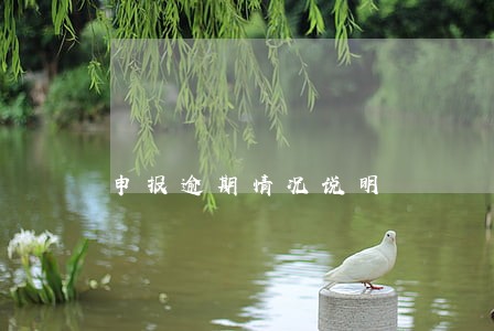 申报逾期情况说明 申报逾期情况说明