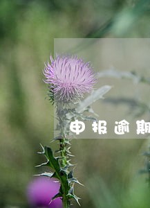 申报逾期找谁罚款 申报逾期找谁罚款